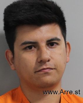 Daniel Patricio Diaz Mora Mugshot