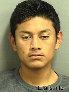 Daniel  Morales Mugshot