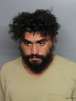 Daniel Serge Pena-ruggio Mugshot