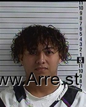 Daniel Amilcar Sanchez-espinal Mugshot