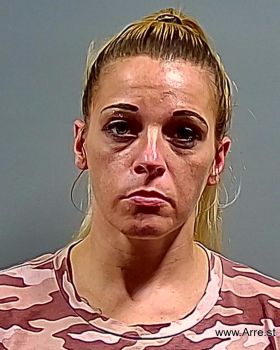 Danielle Lee Beasley Mugshot