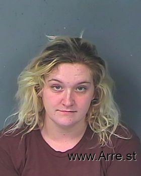 Danielle Lee Fleming Mugshot