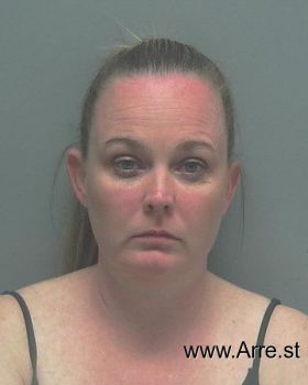 Danielle J Mcdonnell Mugshot