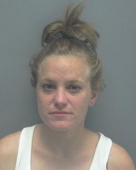 Danielle Dixon Pierce Mugshot