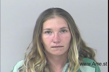 Danielle Marie Robinson Mugshot