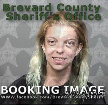 Danielle Nichole Weber Mugshot