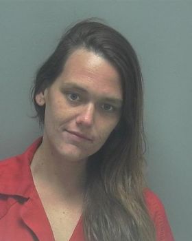 Danielle Marie Wilson Mugshot