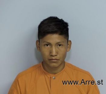 Darinel  Perez Felipe Mugshot