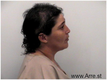 Darlene Ann Cetrullo Mugshot