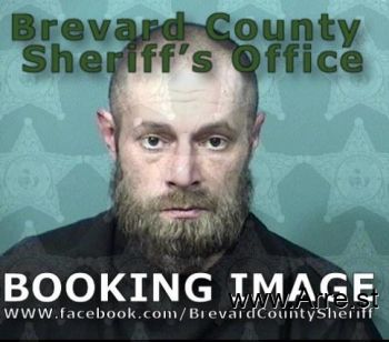 David Lee Blevins Mugshot