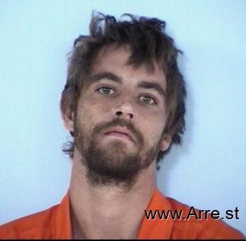 David Tyler Allen Mitchem Mugshot