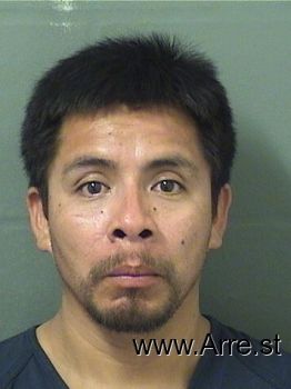 David  Pedro Mugshot