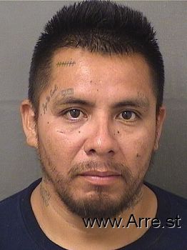 David  Pedro Mugshot