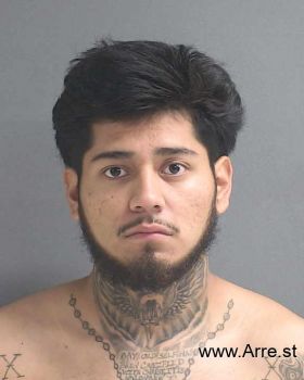 David U Penaloza Mugshot