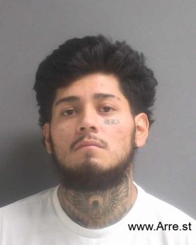 David W Penaloza Mugshot