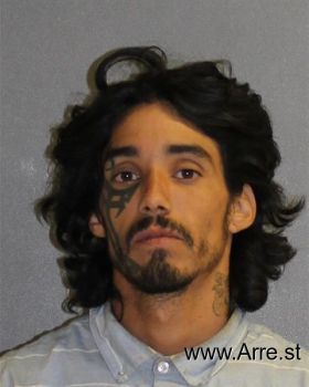 David  Pineiro Mugshot