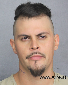 David E Rivera Mugshot