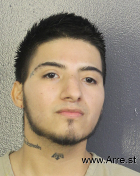 David De Jesus Ruiz Portilla Mugshot