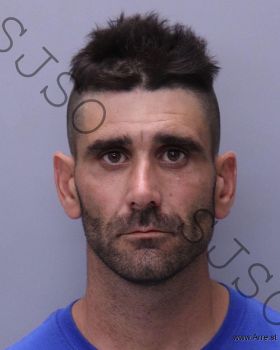 David Nmn Simon Mugshot