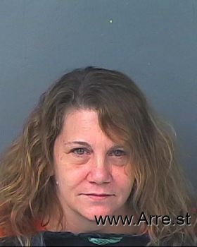 Dawn Marie Hili Mugshot