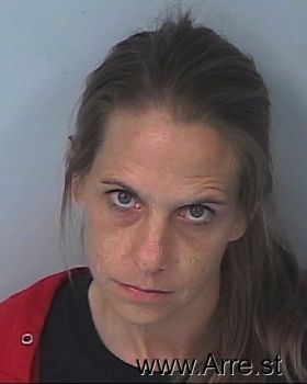 Dawn Louise Steinruck Mugshot