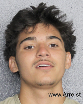 Deandre  Carrero Mugshot