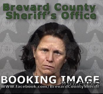 Deanna M Mcdonald Mugshot