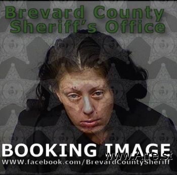 Deanna Lynn Schmidt Mugshot