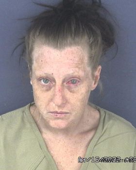 Debbie Lynn Pizani Mugshot