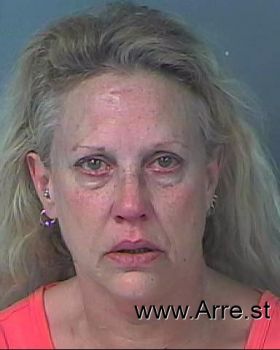 Deborah Ann Anderson Mugshot