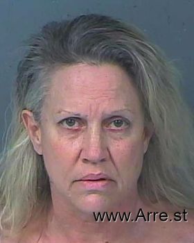 Deborah Ann Anderson Mugshot