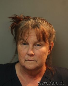 Deborah  Carlson Mugshot