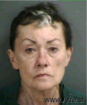 Deborah Brichford Cook Mugshot