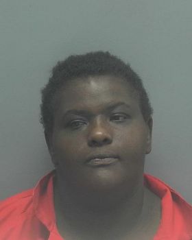 Debra Deanna Smith Mugshot