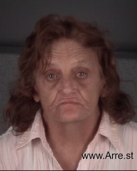 Debra Lynn Snyder Mugshot