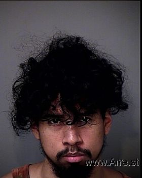 Dennis Alejandro Campos Mugshot