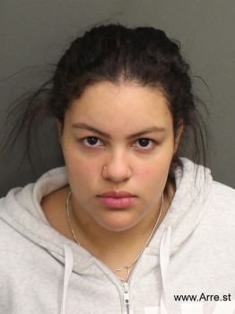 Diana Nicole Garcia Mugshot