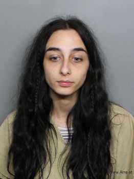 Diana  Irizarry Mugshot