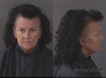 Diane Theresa Smith Mugshot