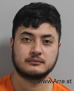 Diego  Ibarra Mugshot