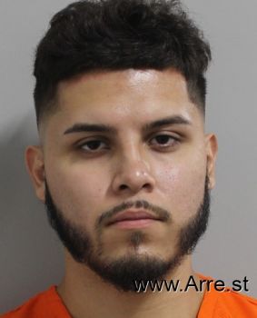 Diego  Perez-garcia Mugshot