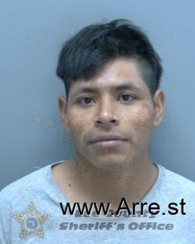 Diego  Perez Santay Mugshot