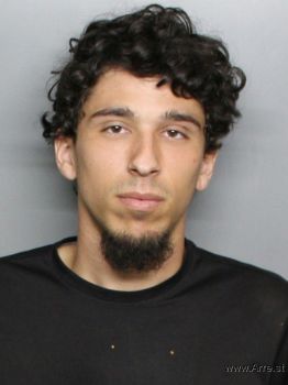 Dominick Angel Sanchez Mugshot