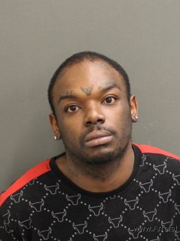 Dominique M Williams Mugshot