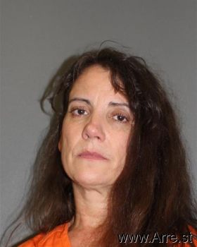 Donna  Hanson Mugshot