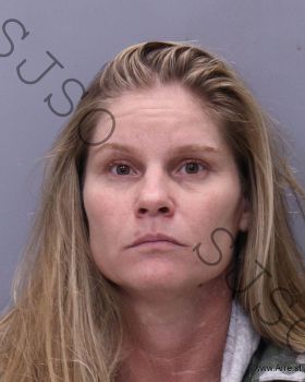 Donna Michele Mitchell Mugshot