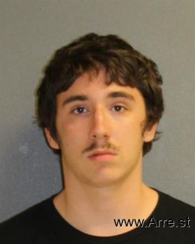 Dustin  Hamilton Mugshot