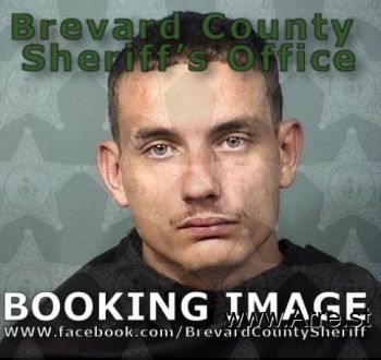 Dylan Chaise Wise Mugshot