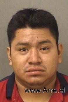 Elias  Sanchezsales Mugshot