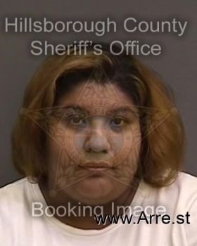 Erica  Castillo Mugshot